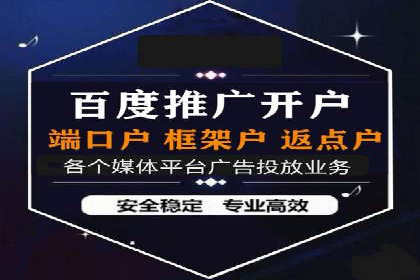 行业标杆：SEM托管公司案例解析